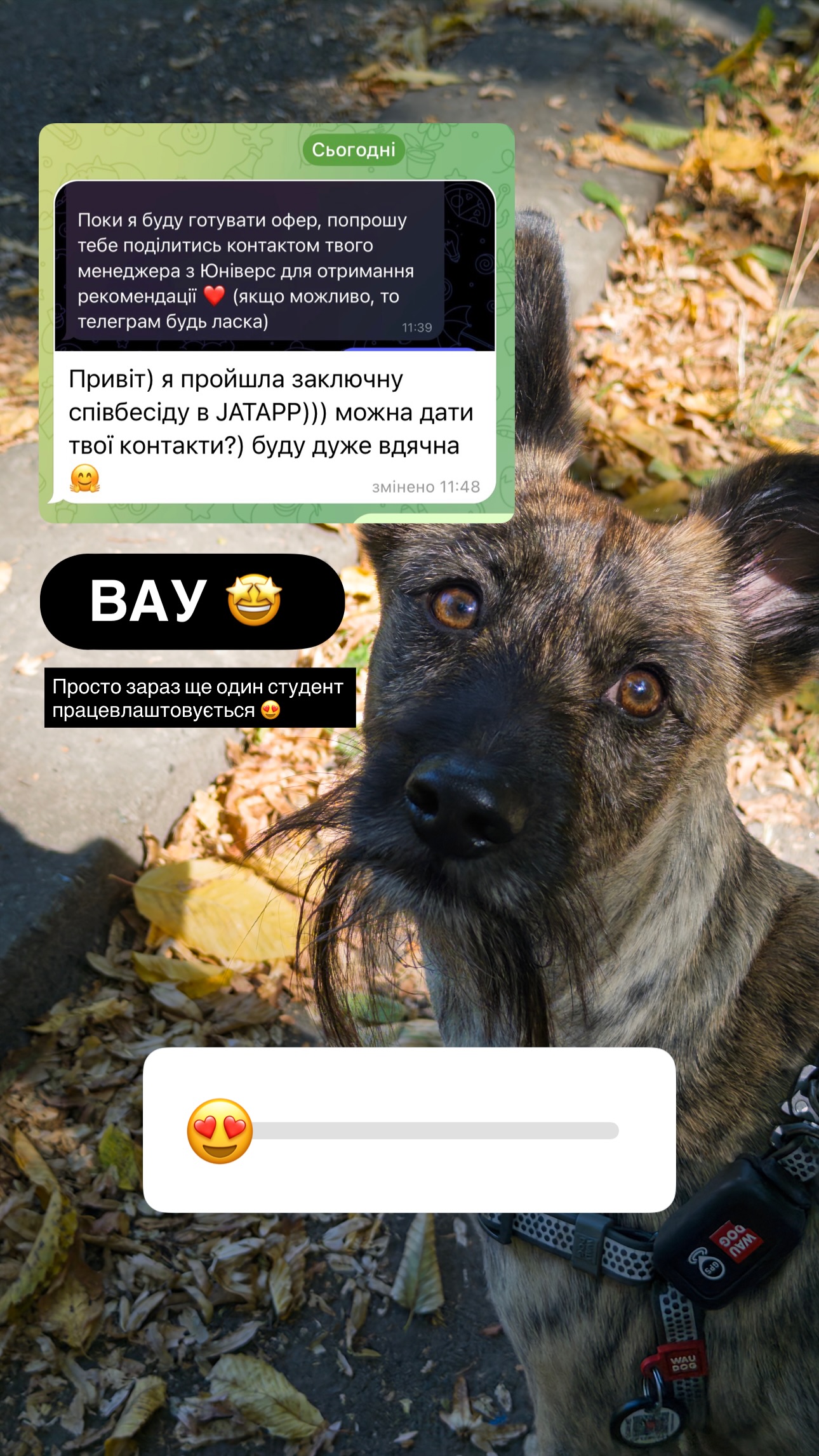 Відгук